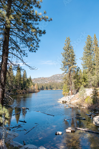 Hume Lake Shoreline with Fallen Logs and Pine Forest Reflection California