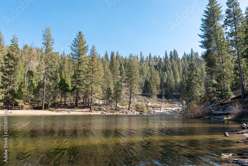 Hume Lake Sandy Shore and Conifer Forest Sierra Nevada California