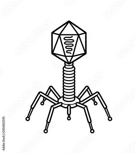 Bacteriophage Structure Educational Biology Illustration Isolated on White Background