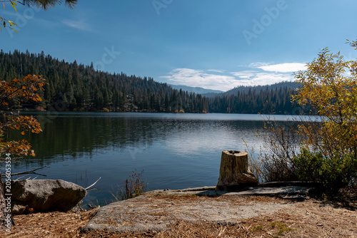 Hume Lake Autumn Shore with Tree Stump and Fall Foliage California