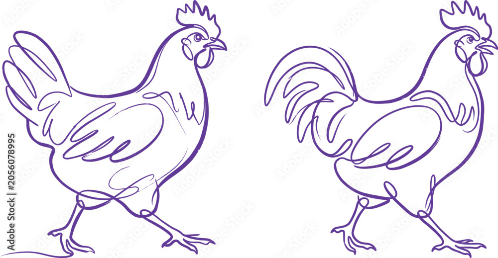 Fototapeta premium Hand drawn chicken rooster sketch illustration with domestic agriculture illustration livestock