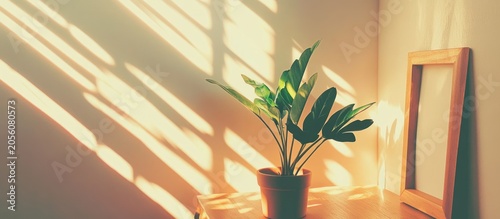 Sunlight streams through window, illuminating plant & empty frame on wooden table