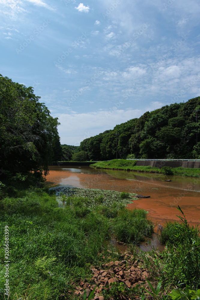 Fototapeta premium A pond turned reddish-brown due to a plankton bloom