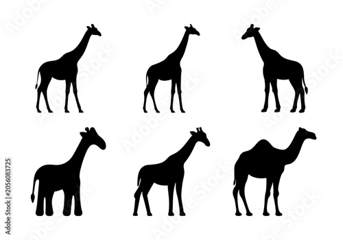 Photography Silhouette animals walking in a line - Six black silhouette animals including giraffes and a camel walking in a simple line formation