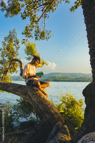 Man reading book on tree branch by lake, serene nature, golden hour light, Rajasthan, India