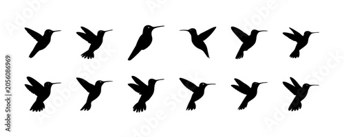Hummingbird flying in different poses - Set of stylized black hummingbirds captured mid-flight with dynamic wing poses in various angles.