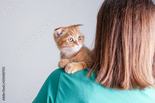 Woman holding ginger kitten in her on the shoulder on gray background.