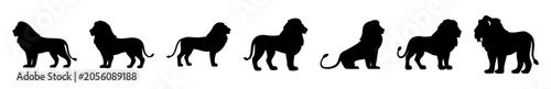 Photography Black lion silhouettes in a row - Sleek black silhouettes of lions in a simple, aligned sequence for clean and modern design use