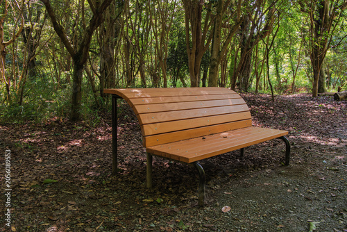 A bench placed quietly in the middle of a forest