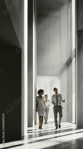Business professionals walk...