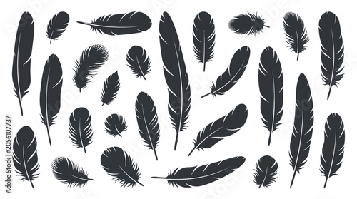 A professional vector illustration set featuring various dark grey bird feathers in different artistic shapes