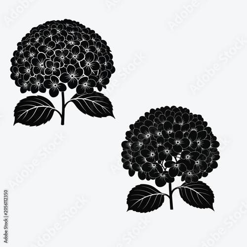 Vintage style hydrangea floral design elements isolated on white background for wedding invitation