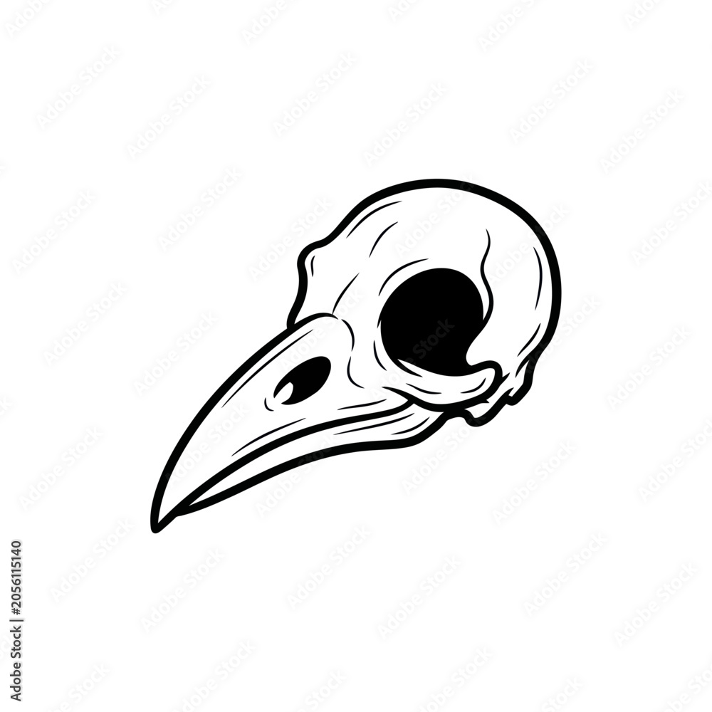Obraz premium Minimalist Black and White Bird Skull Illustration