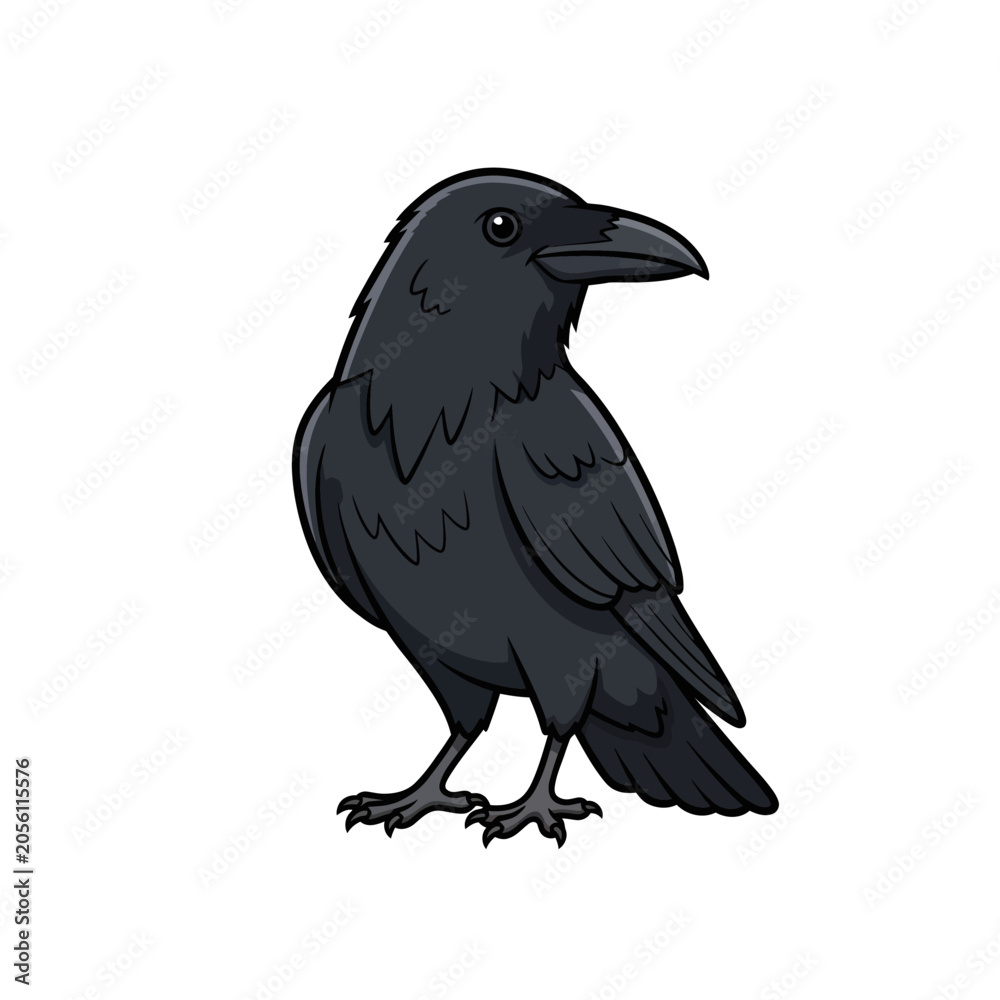 Obraz premium Detailed Black Raven Illustration Isolated on White
