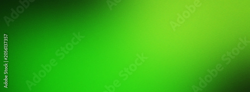 Abstract smooth blurred green gradient background with fine grain texture.