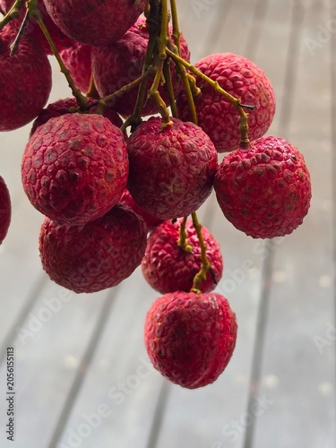 red berries of a red currant
