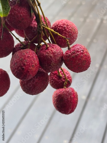 bunch of red grapes on the vine
