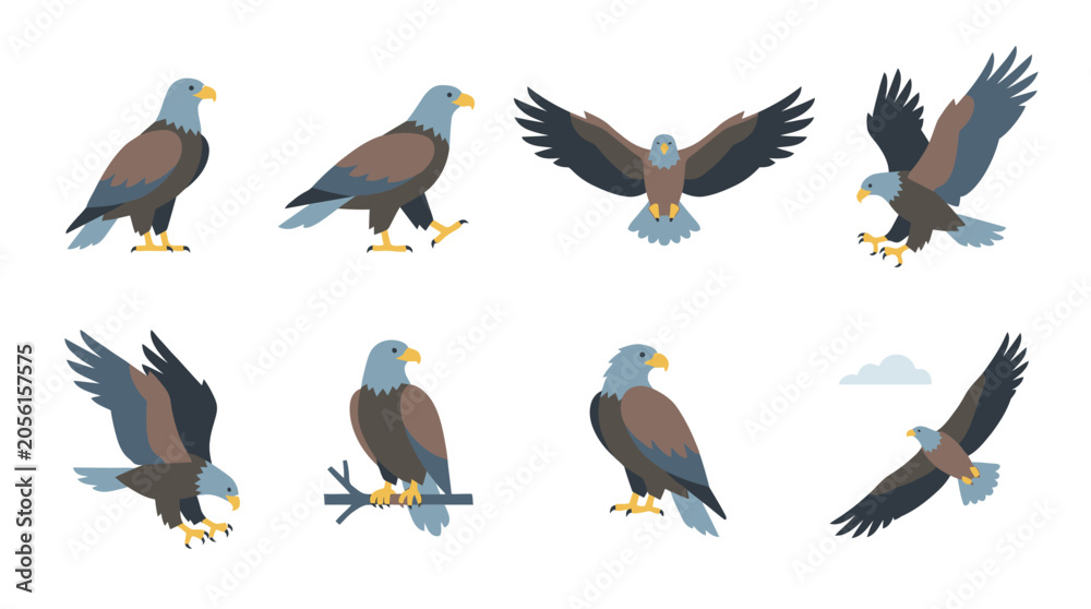 Obraz premium Set of flat vector illustrations featuring bald eagles in various poses and flight positions.