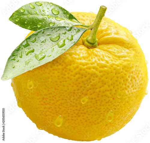 Kochi Yuzu orange isolated on white background With work path, Yellow Yuzu Orange fruit isolated on white background PNG File.