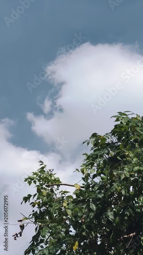 clouds in the sky