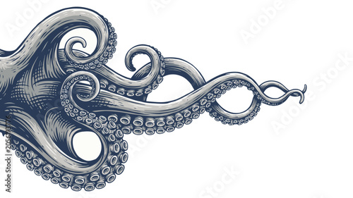 Foto Tentacles of an octopus hand drawn vector illustration in engraving technique is