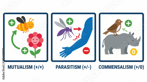Foto Symbiosis Types Mutualism Parasitism Commensalism