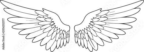 Stylized outline of a pair of large feathered wings spread open on a white background angel bird