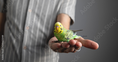Tablou pe pânză Caucasian man with a his parrot.