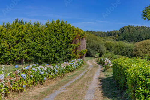 Rural Camino de Santiago