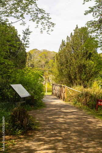 A beautiful rustic bridge in dappled shadeover a small brook at the entrance to the walled garden in Florence Court