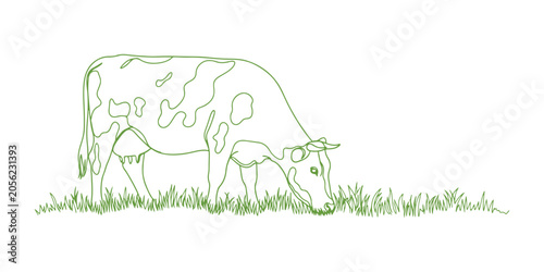single line art cow, featuring large spots, enjoying a peaceful moment in a broad grassy area on a white canvas.
