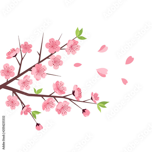A delicate branch with pink blossoms and falling petals on white background