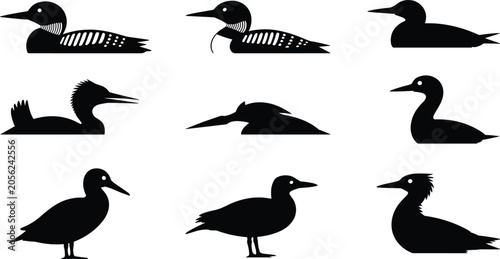 Canvastavla Bird Silhouette Icons Set Featuring Ducks, Loons, Grebes, and Waterfowl Variatio