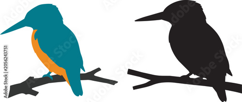 Vector illustration of king fisher silhouette on a white background.