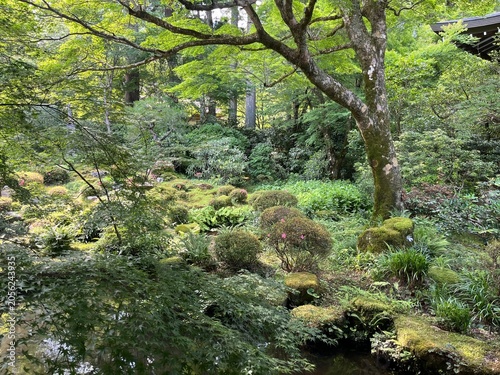 Sanzen-in Temple in Ohara, Kyoto, Japan