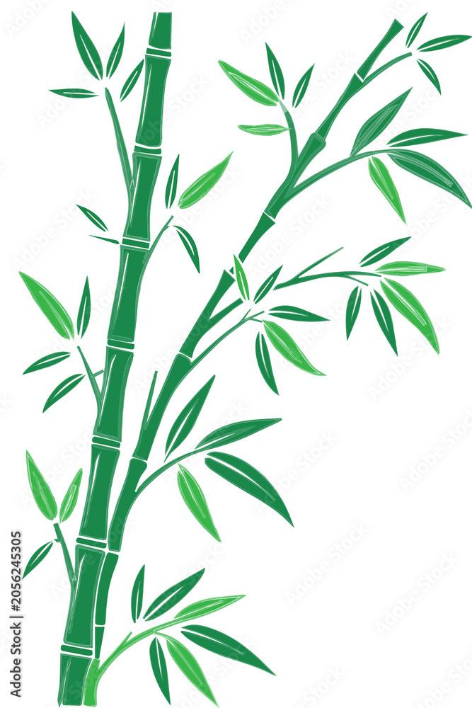 Fototapeta premium Watercolor green bamboo stalks and leaves illustration in traditional style