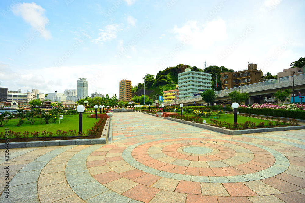Obraz premium 春の公園 神奈川県横須賀市ヴェルニー公園の風景