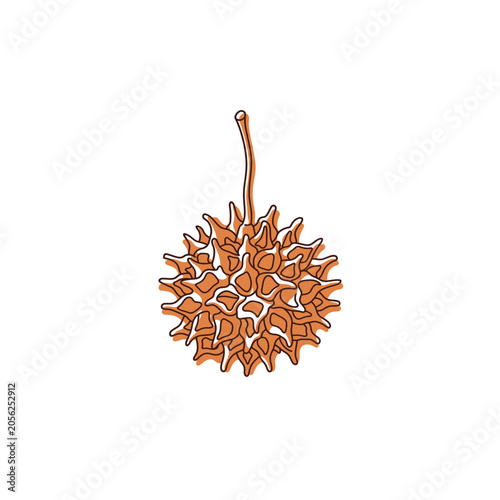Sweetgum Seed Ball Continuous Line Art