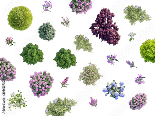 Fotografie Overhead shot of varied green and colorful flowering bushes and shrubs, isolated on transparent