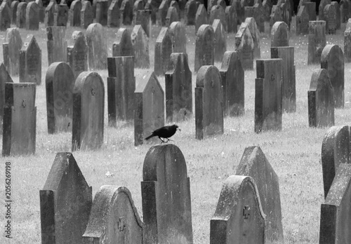 Old cemetery, gravestones