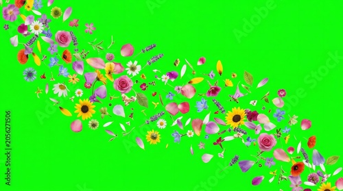 Colorful Flower Petals and Blossoms Falling in Bright Outdoor Scene