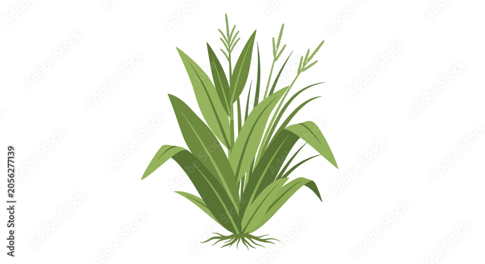 Fototapeta premium Green City Green plant, leafy foliage, botanical illustration, vector plant isolated on White Background Vactor EPS