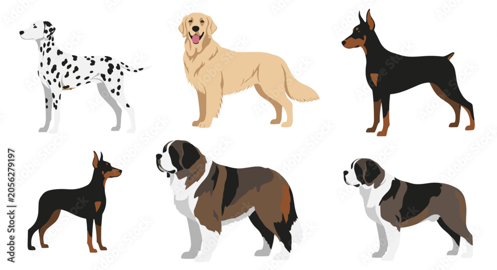 Obraz premium Collection of six different dog breeds including Dalmatian, Golden Retriever, Doberman Pinscher, and Saint Bernard in profile.