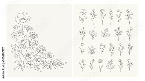 Minimalist botanical line art collection, hand drawn floral bouquet and 20 individual flower elements, elegant black ink wildflower vector set