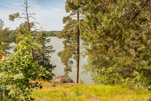 Photos Sunny lakeside forest landscape with Scots pine (Pinus sylvestris) and mixed woodland framing calm water