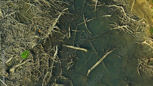 Schilderij op canvas High-angle drone shot of mangrove tree remains in shallow water, symbolizing habitat fragmentation, land clearing, ecological imbalance, and shoreline instability