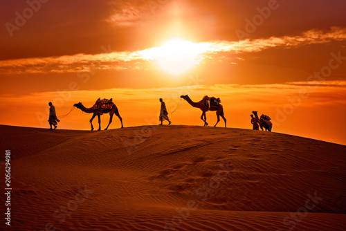 Camel caravan crossing desert dunes at fiery sunset.Thar desert on sunset Jaisalmer,Rajasthan, India