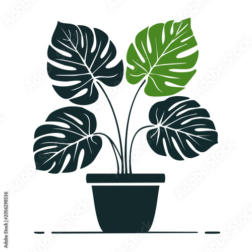 Monstera plant in flat design style