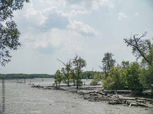 Serene coastal environment. Tranquil estuarine scene with islands