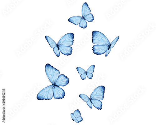 watercolor lucky butterfly design set